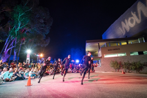 FLOCK OF FLYERS (2015 WOW Festival)